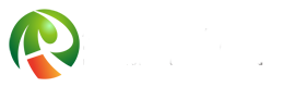 龙宇电子有限公司